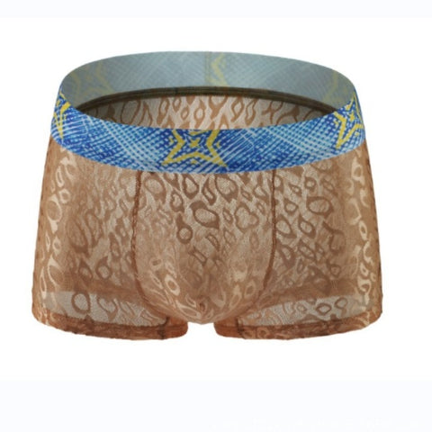 Trendy Men's Lace Transparent Boxer Briefs Comfortable Breathable Quick-drying Men's Boxers