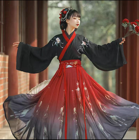 Wei Jin Style Cross Necked Long Sleeved Waist Length Skirt Set