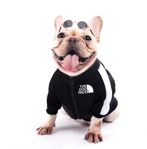 Pets Apparel