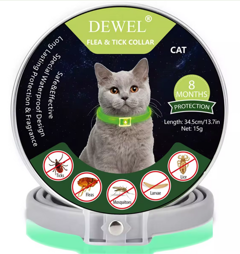 Flea & Tick Control