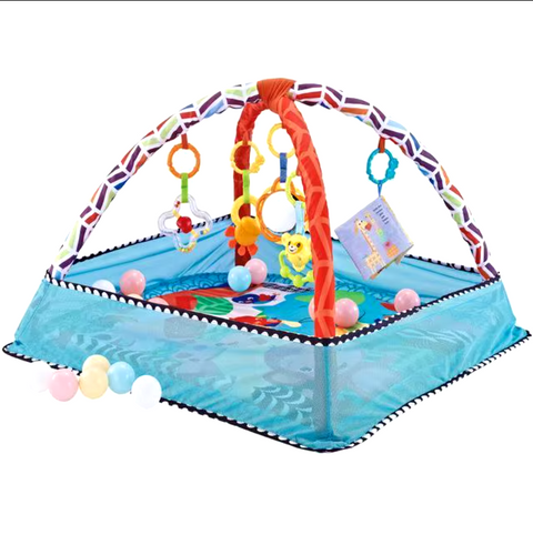 Gyms & Playmats