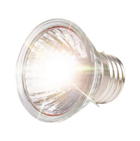Habitat Lighting