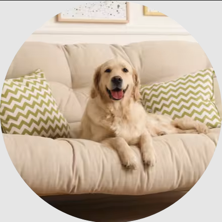 Pet Supplies