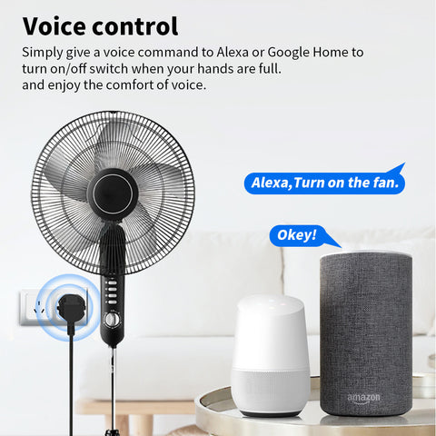 Smart Phone Remote Voice Control Socket